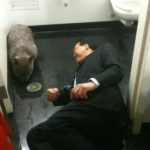Why is Yo-Yo Ma On the Floor with a Wombat?