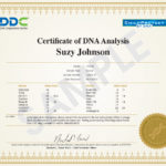 Coupon – $50 Off a DNA Profile @ ChildProtect by DNA