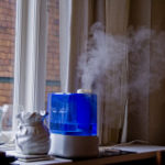 Your Humidifier Can Save Your Life!